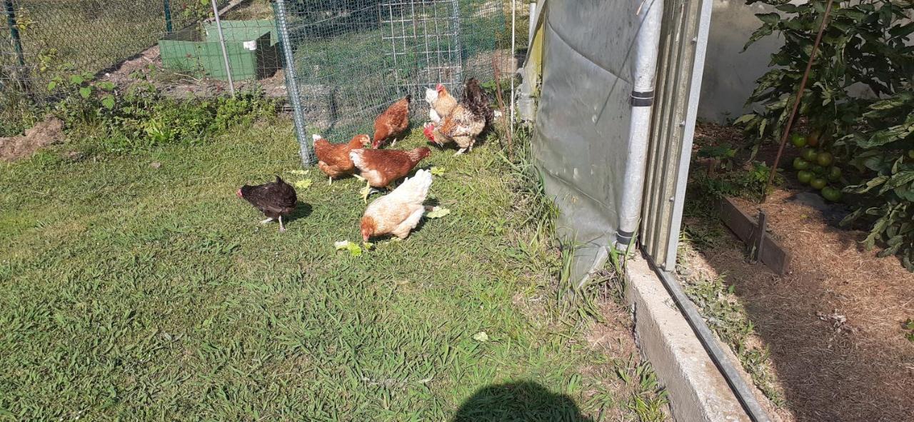 Apartamento En Chihuahua Etxea ガウテギス＝アルテアガ エクステリア 写真